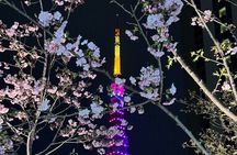 Private Tokyo Night Tour