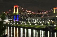 Private Tokyo Night Tour