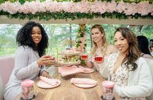 Tea Around Town Austin: Elegant Tea Bus Tour & Treats