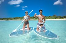Cheap Miyakojima (Clear SUP & Sea Turtle Snorkel) No extra charge | Full refund guarantee | Free rentals and photos | 1 year old - OK!