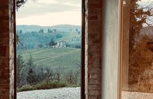 Wines and cold cuts and cheeses in the cellar