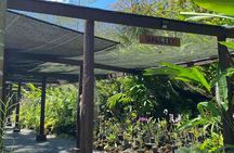 Half Day Tour in Nadi 