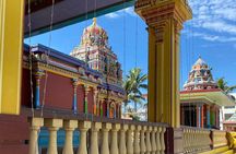 Half Day Tour in Nadi 