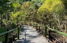 Half Day Nadi Tour Temple, Market, Gardens and Mud Pools