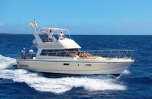 Discover whales in Tenerife: yacht tour with bath and lunch