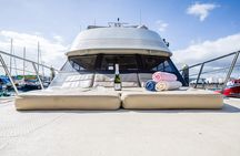 Discover whales in Tenerife: yacht tour with bath and lunch