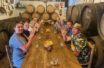 Sun and Wine Route - Small group, wine tasting and tapas included