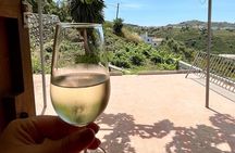 Sun and Wine Route - Small group, wine tasting and tapas included