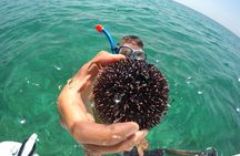 Zadar 3-Islands Tour: Snorkeling, Beach & Sightseeing - 4,5hr