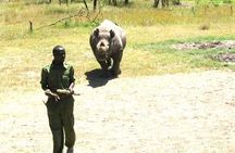 Day tour to Olpejeta Conservancy from Nairobi