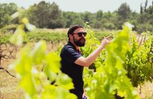Montserrat & Medieval Winery with Tapas/Lunch