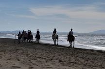 Horseback Riding Through the Tuscan Hills of Castagneto Carducci