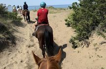 Horseback Riding Through the Tuscan Hills of Castagneto Carducci