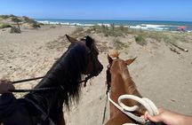 Horseback Riding Through the Tuscan Hills of Castagneto Carducci
