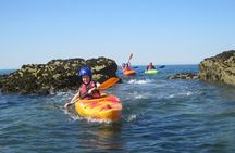 Family Kayaking Taster Session in Anglesey