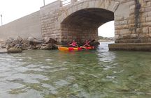 Guided Kayak in the Brindisi bay