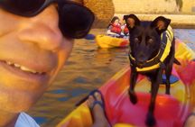 Guided Kayak in the Brindisi bay