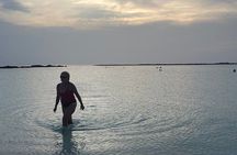 Aruban Local Lunch and Baby Beach Snorkeling