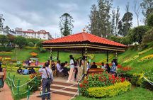 Coimbatore to Ooty Day Trip - Explore A Perfect Hill Station 
