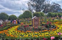 Coimbatore to Ooty Day Trip - Explore A Perfect Hill Station 