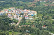 Coimbatore to Ooty Day Trip - Explore A Perfect Hill Station 