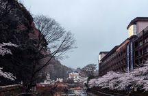 Hakone Full-Day Private Tour Hotel Pickup and Highlights