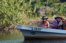 Reptile Eco Tour in Oaxacas Coastal Communities