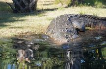 Reptile Eco Tour in Oaxacas Coastal Communities