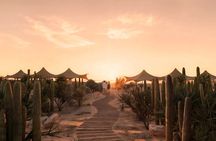 All inclusive Beach and Kids Adventure Park Experience