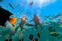 Tour Yelapa and Majahuitas with Lunch and Open Bar