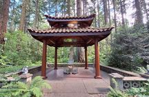 Serene Journey to The Grotto