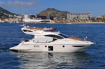 Cabo Snorkeling Private Whale Watching Tours