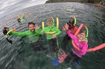 Sydney Family Snorkelling Eco Tour 