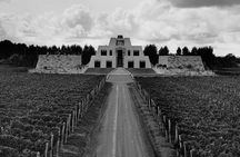 Visit and Tasting EN Catena Zapata Winery and Private Transportation