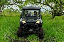 Big Island Family Off Road Farm Adventure