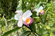 Mindo Cloud Forest Guided Tour small groups