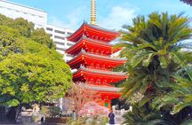 Fukuoka & Hakata Private Tour with Optional Port Pickup