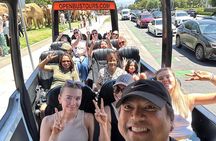 Ultimate Private Hollywood Tour