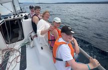 Active & family sailing Kastela & Split