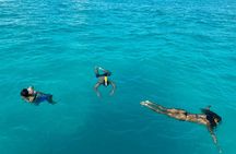 Wake Surfing Lessons & Snorkel Time in Crystal Blue Waters 1.5hr