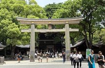 Tokyo Private Sightseeing Tour by Car with Local Guide
