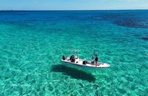 Fishing experience on a private small boat on Ishigaki Island - Meet empty-handed!Fish.Let's eat.~ 【Half day course】