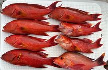 Fishing experience on a private small boat on Ishigaki Island - Meet empty-handed!Fish.Let's eat.~ 【Half day course】