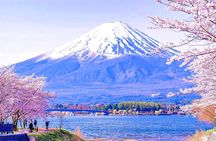 Mt. Fuji Day tour: Kawaguchi Lake Ropeway, Matcha, Oshino Hakkai 
