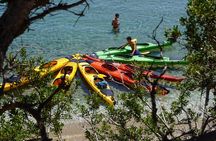 Rina Cave Half Day Sea Kayak Tour with Snorkeling