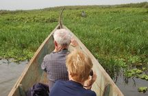 Shoebill Stork and Birdwatching Tour at Mabamba swamp 