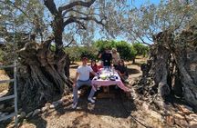 SYSTASIS Olive Oil Tasting Experience in Ermioni Greece