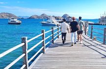 Komodo Day Tour by Speed Boat