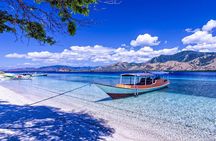 Komodo Day Tour by Speed Boat