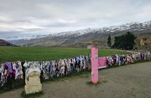 Wanaka Private Day Trip from Queenstown: TravelnGo